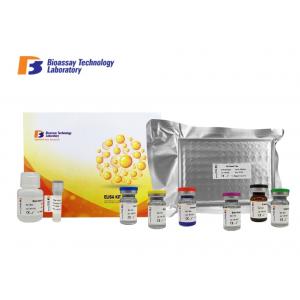 Beta - Hydroxybutyric Acid Bovine ELISA Kit 96 Wells High Specificity For Research