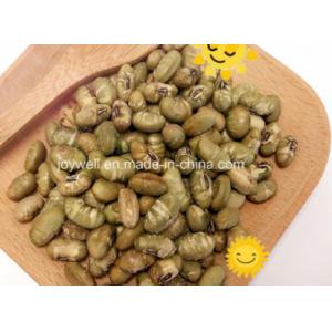 Vegan Pure Natural No Additive Roasted Green Beans Edamame Sea Salt Flavor