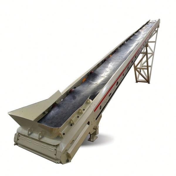 Máquina global del transportador de correa del móvil de la anchura los 800Mm