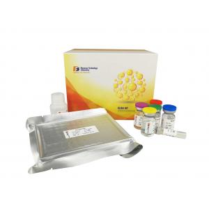 96 Wells Customized Mouse Elisa Kit Vascular Endothelial Cell Growth Factor