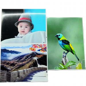 China 36X30m RC Color Photographic Paper supplier