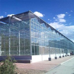 China Glass Multi Span Greenhouse Tropical Solar Hydroponic Flower Vegetable Growing supplier