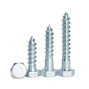 Hex Head Wood Screw Din571 Lag Bolt Coach Screw for Steel/SUS304 within Fasteners