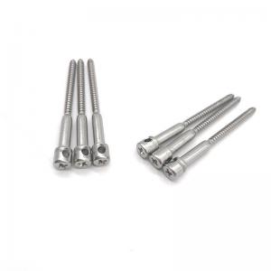 China Stainless Steel Self Tapping Lead Seal Screw For Electric Energy Meter supplier