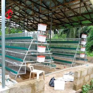 China Nigeria Warehouse Premium And Deluxe Poultry Battery Cage System For Layer Chickens  Sandy supplier