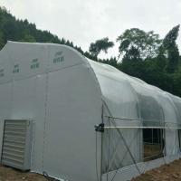 China Customized Heating Equipment Blackout Film Greenhouse for Herb and Mushroom Farming on sale