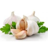 Garlic Extract , natural Allicin,  natural animal feed additive, Chinese Manufacturer,Shaanxi Yongyuan Bio-Tech