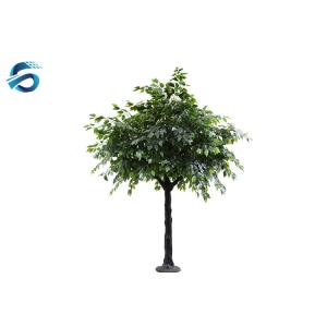 China Imitation Ficus Bonsai Tree , Artificial Outdoor Plants Last For 2 Yrs supplier