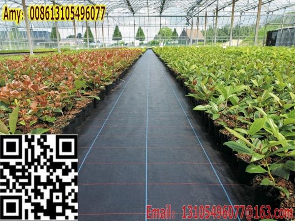 2016 export American polypropylene geotextile /weed control cover and weed