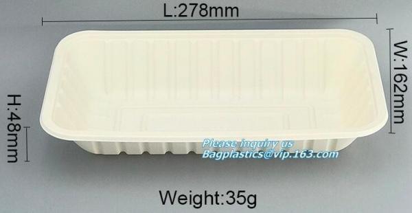 Biodegradable Disposable Trays, corn starch fast food box, Disposable Biodegrada