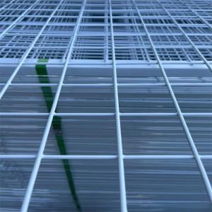 2x2 PVC Welded Wire Mesh Panels Plastic Coated Wire Mesh Sheets 30m/roll