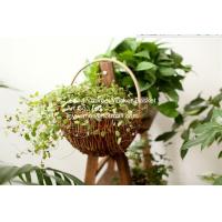 China wicker basket manufacturer wicker garden basket willow plant baskets on sale