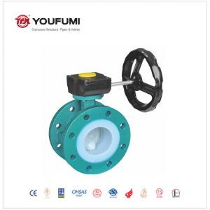 Full PTFE Lined Butterfly Valve 80mm Double Flange Type Petrochemical Use