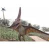 China Life Size Velociraptor Outdoor Dinosaur , Waterproof Little Pterosaur Dinosaur Garden Sculpture wholesale