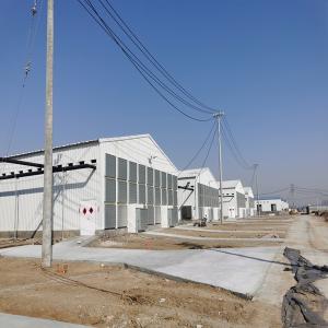 Modular Steel Structure Poultry House with Automated Ventilation