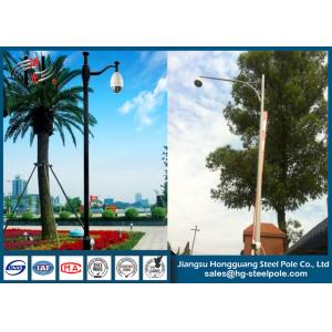 China Single Arm Polygonal Telescopic CCTV Camera Pole for Garden Monitoring ODM / OEM supplier