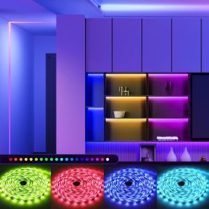 China Adjustable Brightness RGBIC LED Lights E-sports Atmosphere USB Light Strip Changes Color With Music Remote / App Control supplier