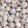 China Garlic splitting machine minced garlic processing production Line wholesale