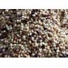 China Agriculture Machine Pine Nut Kernel Color Sorter Nuts Sorting Machine wholesale