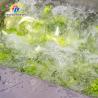 Máquina de producción de procesamiento de limpieza Vortex lavadora de vegetales frijoles rojos frijol mungo guisantes verdes frijoles enlatados Papa Patatas y cultivos de tubérculos redondos Zanahorias y vegetales de raíz longitudinal