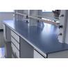 Safe Epoxy Resin Laboratory Countertops With Matt Surface For Lab Bench