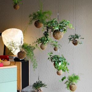 Anti Aging Artificial Potted Plants Green Leaf Bar Music Restaurant Hanging Window Ceiling