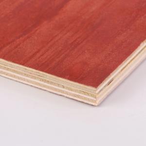 Commercial 18mm Structural Plywood Sheets Eucalyptus Pine Plywood Sheets