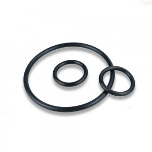 Aging Resistant Rubber O Ring Shock Absorption Thick Rubber Seal Rings