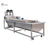China Video technical support fruit vegetable washer and sterilizer for fruit processing plant wholesale