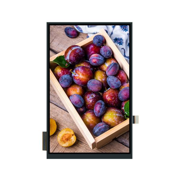 Pantalla táctil LCD TFT de 9 pulgadas 800x1280 interfaz MIPI con controlador IC ILI9806E/FT5x06