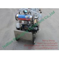 China CE Certificate Portable Milking Machine for Cow Dairy Farm Milking on sale