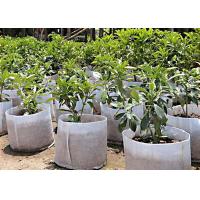 China Biodegradable Ground Cover Weed Control Fabric Landscape Mulch 100% Polypropylene on sale