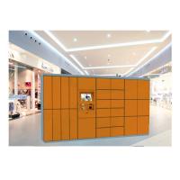 China Clothes Drying Laundry Service Equipment Storage Closet Cabinet Steel Locker With Network on sale