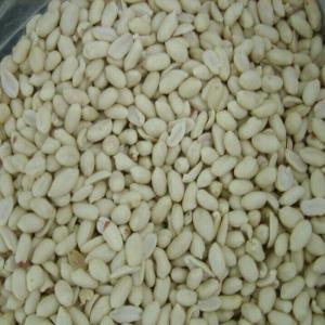 Delicious Blanched Peanuts / Red Skin Peanuts Fast Fresh Food For Eating / Oil Processing