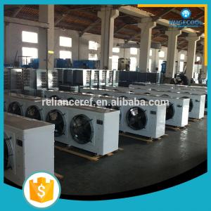 China Electric Power Hoisting Cold Room Air Cooler DD Series supplier