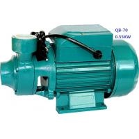 0.75HP 0.55KW Domestic Clean Water Pump For Pool Pumping / Garden Sprinkling