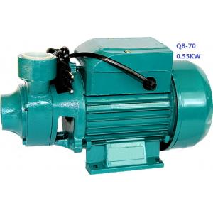 China 0.75HP 0.55KW Domestic Clean Water Pump For Pool Pumping / Garden Sprinkling supplier