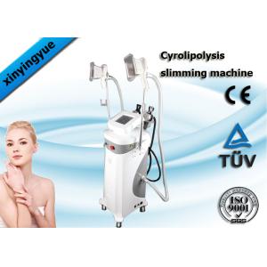 China Cryolipolysis multifonctionnel amincissant la machine, gros corps de congélation amincissant l'équipement supplier
