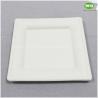 China Facotry Wholesale Sugarcane Pulp Square Plate-6 Inch/8inch/10inch,100%