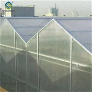 China Agricultural Polycarbonate Multi Span Greenhouse Venlo Style 30-60m Length wholesale