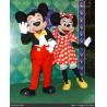 Princess Cartoon costume Disney mouse,Plush dress mascot Mickey Minnie for