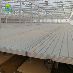 Hot Galvanized Greenhouse Rolling Benches Earthquake Proof Ebb And Flood Benches