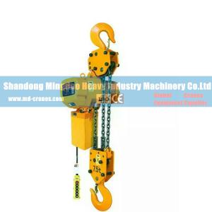 China High Quality Lower Price 7.5Ton Suspension Type Electric Chain Hoist for Sale supplier