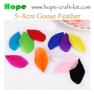 Various size of goose feathers, turkey feathers, chicken feathers, peacock , ostrich feathers for hobbies and kids DIY