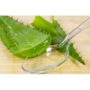 High Quality Aloin/Aloe Emodin/Aloe Vera Extract, Organic Aloe Vera juice Powder