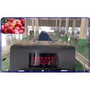 China Plum Automatic Sorting Machine Intelligent 3 hauts précis de la Manche supplier