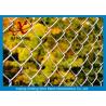China School Chain Link Fence / Hot Dipped Galvanized Chain Link Security Fence wholesale