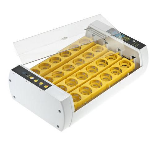 Durable Operation Simple Poultry Egg Incubator , Fully Automatic Egg Incubator