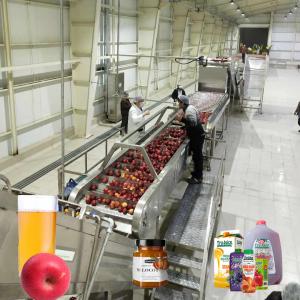 Food Grade Sus304 / 316L Apple Juice Processing Line 10 - 100T/D