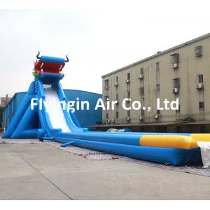 China Giant Pvc Inflatable Water Slide with Blower for Kids and Adult Game supplier